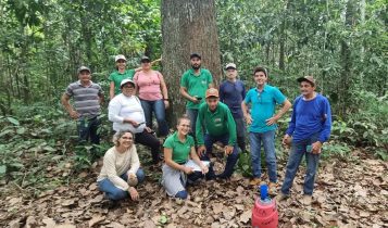 Projeto capacita agricultores em boas práticas de produção de açaí e castanha-do-brasil
