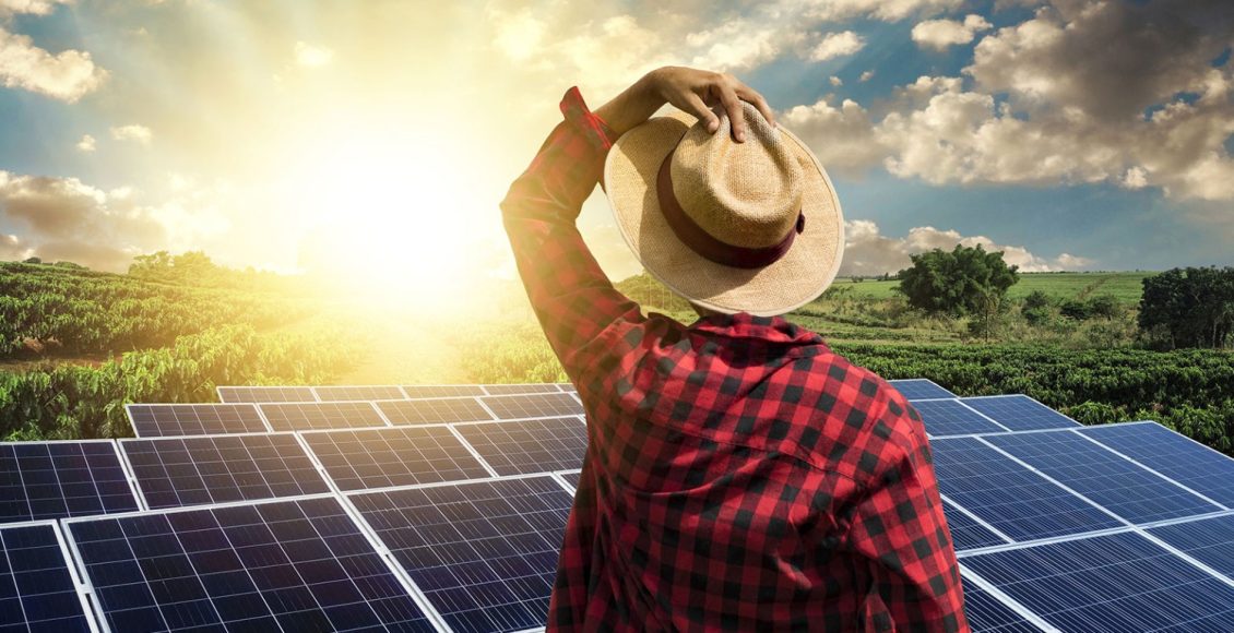 Painéis solares no campo: Nova Estratégia dos agricultores para aumentar a safra