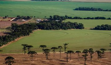 Medida Provisória altera prazo de adesão ao Programa de Regularização Ambiental