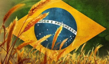 colheita trigo bandeira Brasil - Compre Rural