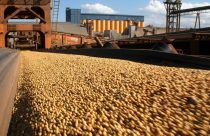 Valores da soja alcançam o maior patamar desde abril
