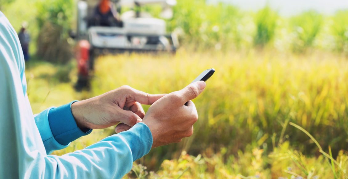 custos-software-gestao-agricola-original - Software é o segredo da eficiência de produtor na gestão agrícola