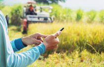 custos-software-gestao-agricola-original - Software é o segredo da eficiência de produtor na gestão agrícola