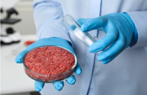 Paraná vai investir R$5.7 milhões no desenvolvimento de carne cultivada