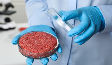 Deputado quer a proibição da carne cultivada em laboratório no Brasil