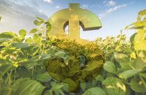 Exportações do agro em Minas somam US$ 8,2 bilhões de janeiro a julho