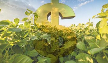 Exportações do agro em Minas somam US$ 8,2 bilhões de janeiro a julho