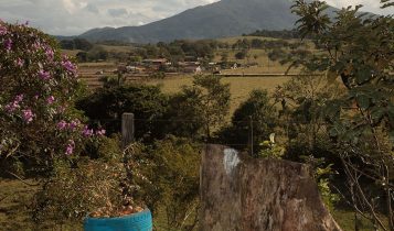 Medida provisória dá mais 180 dias para adesão ao Programa de Regularização Ambiental (PRA)