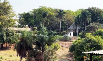 Fazenda tem atividades voltadas para projetos assistenciais no interior de SP