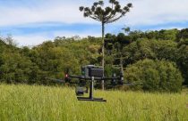 Drones garantem 66% de acurácia no monitoramento de pastagens