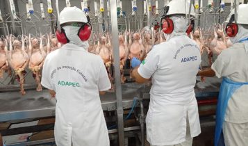TO: análises em empresas cadastradas no SIE e com selo SISBI têm aprovação