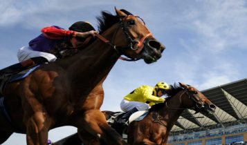 Ministério da Agricultura autoriza Jockeys Clubs a promoverem apostas em cavalos
