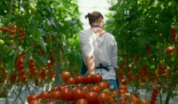 Biossoluções impulsionam produção e sustentabilidade no agro