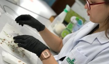 Cooperativa Integrada realiza rigorosa análise de qualidade das sementes no Paraná