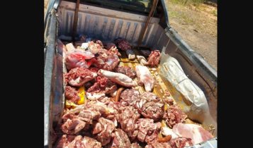 Polícia apreende mais de 300 kg de carne imprópria para consumo no Vale do Taquari; uma pessoa foi presa