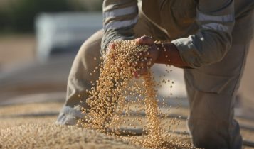 RS: medidores de umidade de grãos são verificados pelo Inmetro
