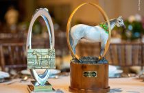 Hall da Fama apresenta os melhores cavalos da raça Quarto de Milha