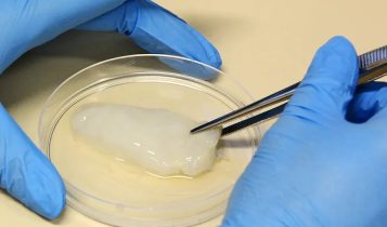 Embrapa cria “carne de frango” em laboratório