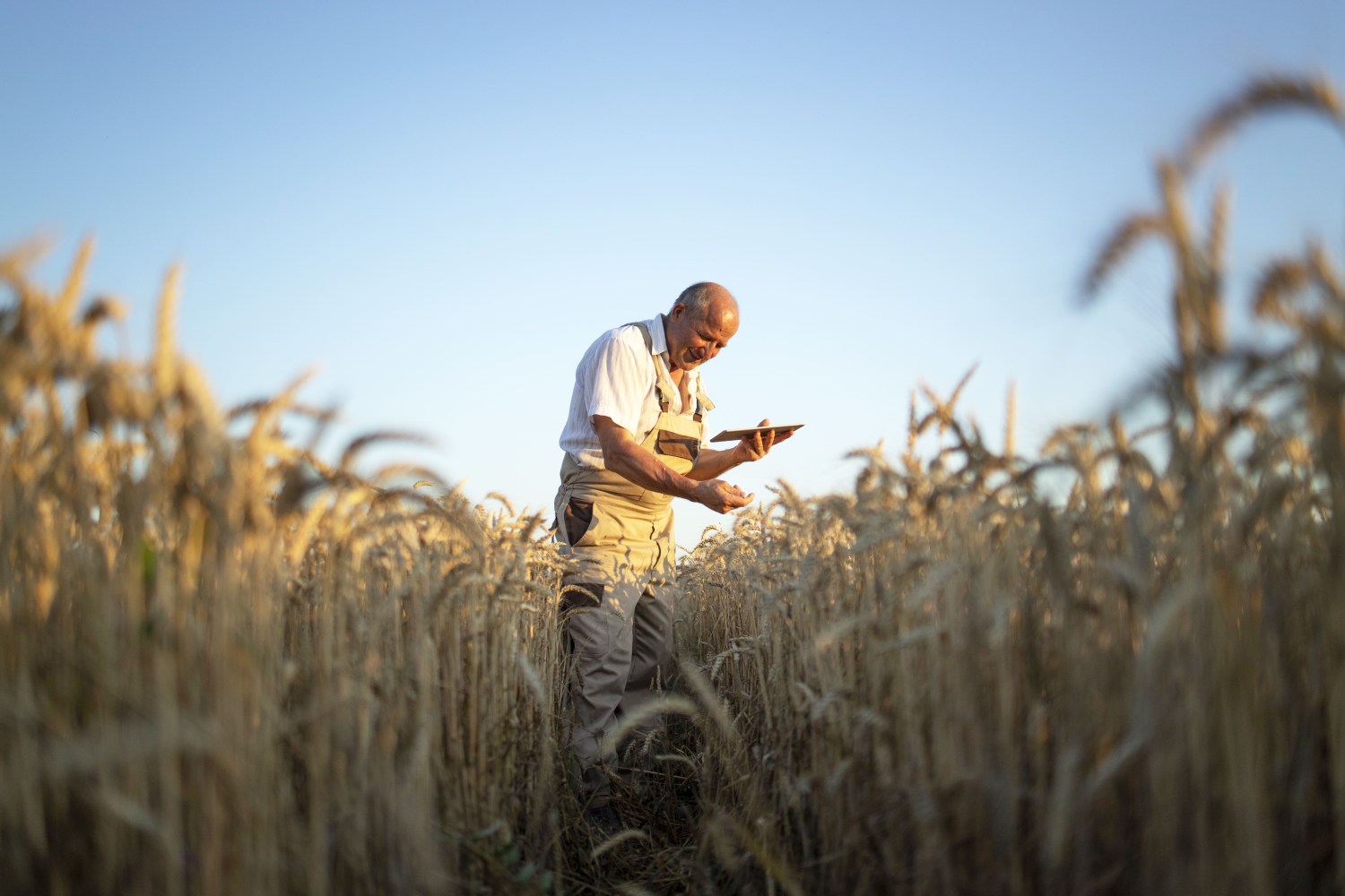 Cédula do Produtor Rural (CPR) ganhará maior tração em 2023