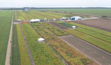 Multinacional apresenta herbicidas para soja durante evento em Mato Grosso