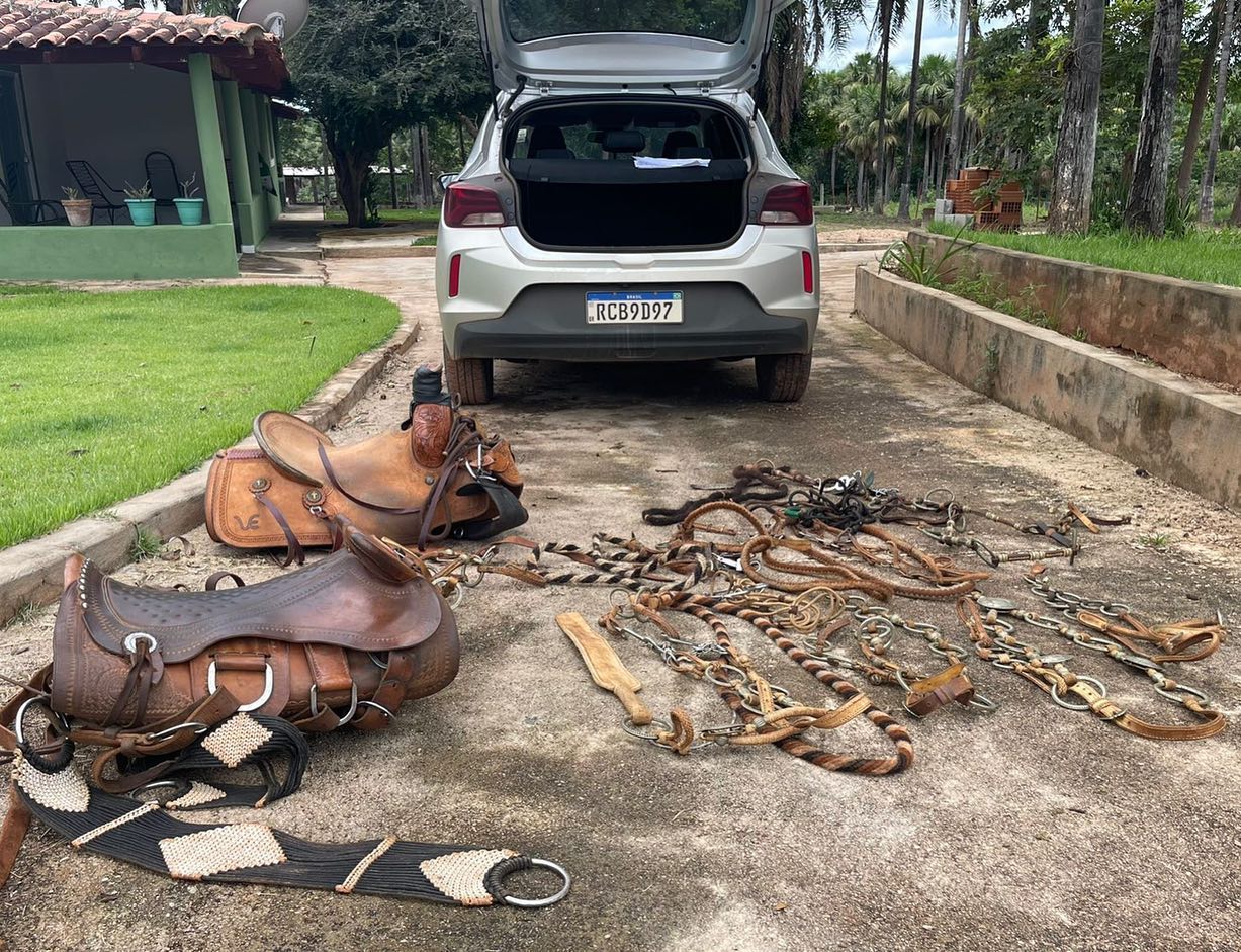 Polícia recupera traias roubadas em evento de muladeiros