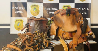 Polícia recupera traias roubadas em evento de muladeiros