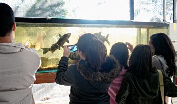 Programa Embrapa & Escola vai incluir preparo de hortas comunitárias nas escolas