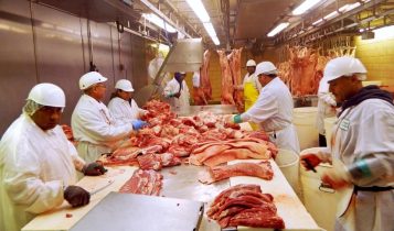Produção de carne suína na China em 2023 tem recorde de 57,94 milhões de ton