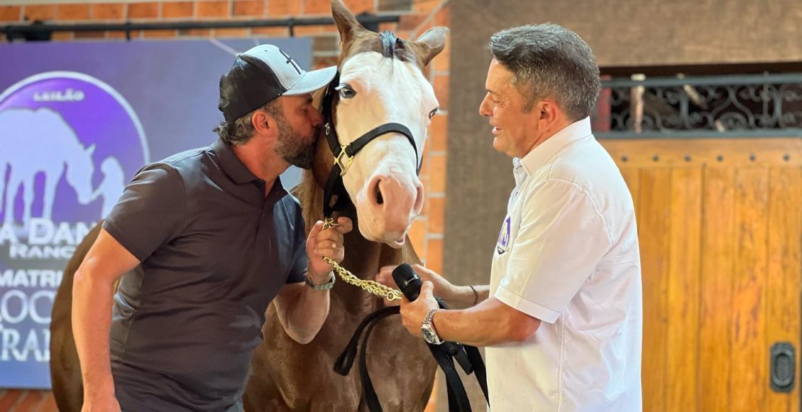 egua palooza - quarto de milha