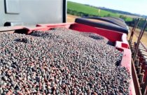 fertilizantes-adubo-soja-semeadora