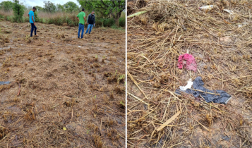 Padrasto é indiciado após enteado ter a perna triturada em máquina agrícola e falecer