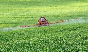 Glifosato: tudo o que você precisa saber sobre o herbicida mais utilizado no mundo