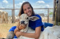 Quanto custa uma faculdade de Medicina Veterinária? Confira!