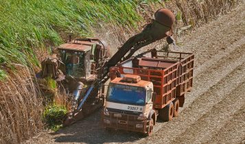 Goiás sanciona política estadual para hidrogênio verde