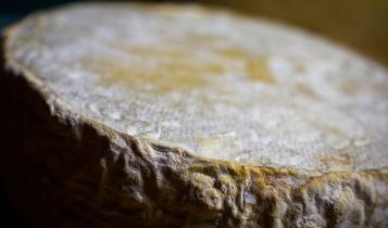 MG: produção de queijo Minas artesanal com casca de fungos é formalizada