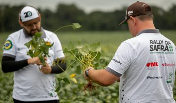 Nova edição do Rally da Safra vai a campo conferir produção de soja 19% maior