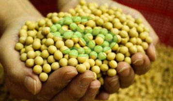 Queda do dólar afeta preço da soja no Brasil; veja cotações