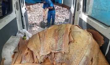 Adepará apreende mais de 120 mil quilos de produtos irregulares em 2022