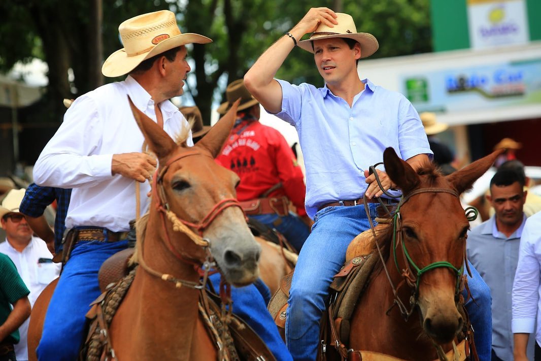 vice-governador daniel vilela