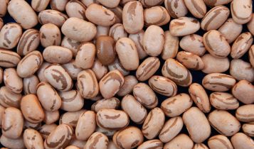 pesquisa feijao carioca