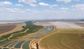 Após recuo nos anos anteriores, produção de peixes de cultivo crescem 1,8 e chegam a 267.060 t Crédito Bom Futuro