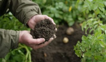 Lucro da Basf cai 39,9% no 3º trimestre, para 172 milhões de euros