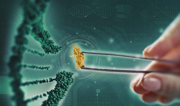 Empresa investirá R$ 190 mi no desenvolvimento de biotecnologias verdes