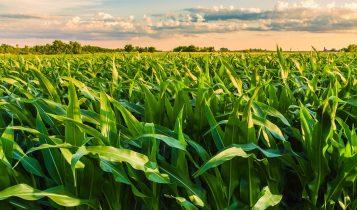 preços das commodities