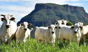 Matrizes da Genetica Aditiva