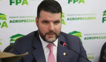 ‘Governo errou no combate a incêndios e Marina Silva é incompetente’, diz FPA