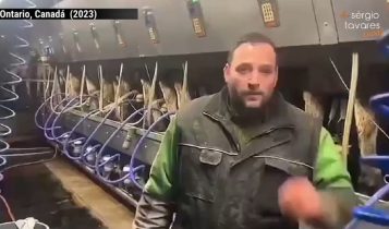 Governo obriga produtor a jogar no esgoto 30.000 L de leite; Vídeo