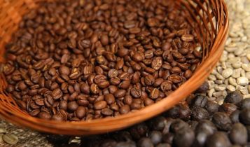 safra de café