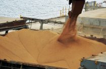 carregamento de milho no porto