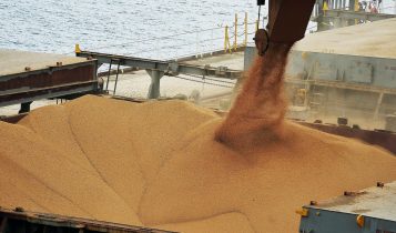 carregamento de milho no porto